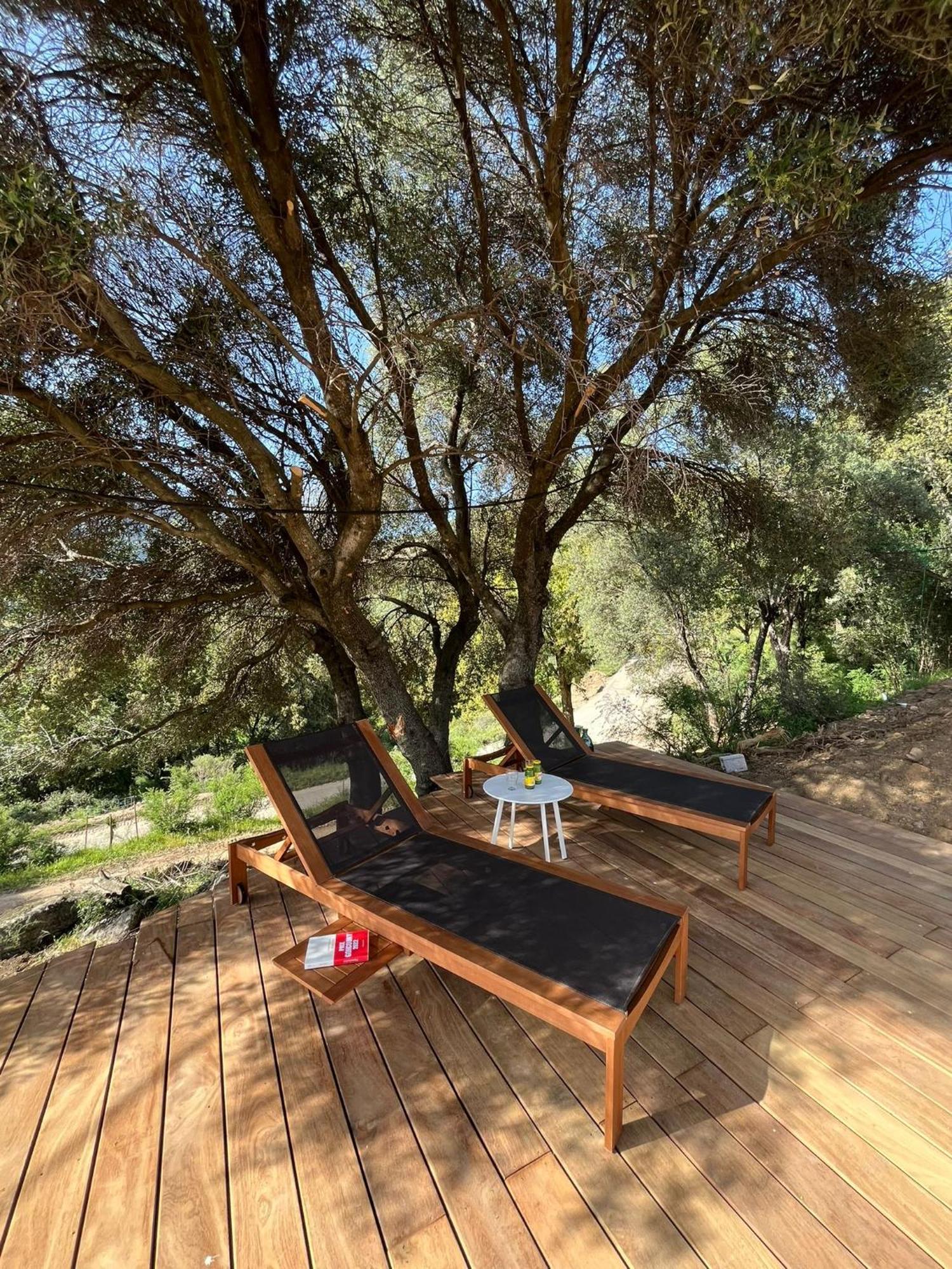 Ferme Casa Pian D'Olmo Ferme Hotel Olmiccia Екстериор снимка