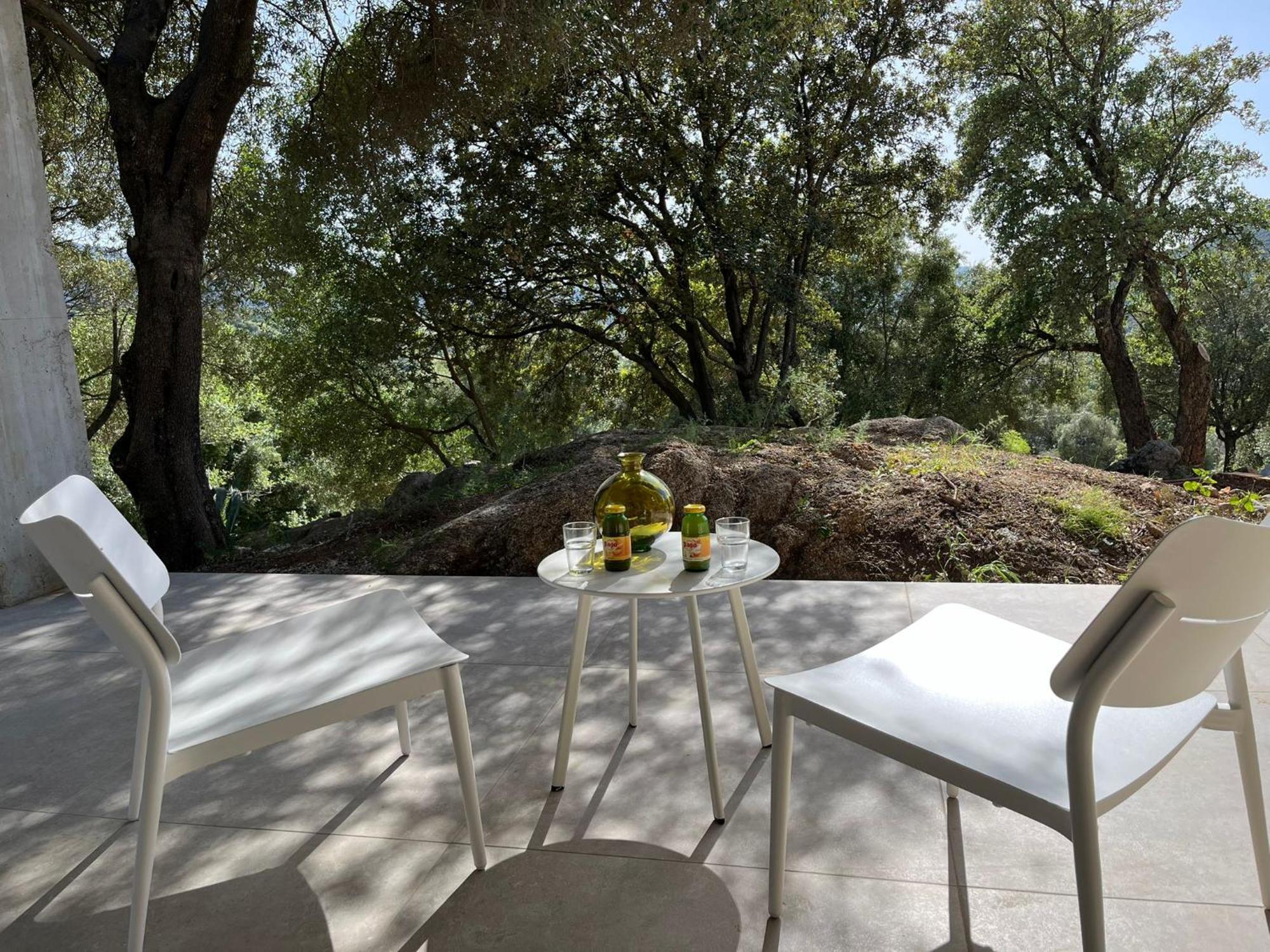 Ferme Casa Pian D'Olmo Ferme Hotel Olmiccia Екстериор снимка